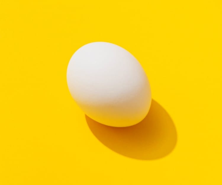 One egg on a yellow background